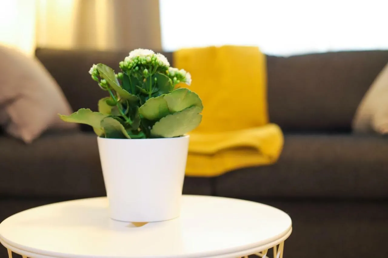 Apartamento Nice Central Studio Luxemburgo Luxemburgo